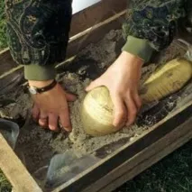 Як зберігати чорну редьку взимку, Редька взимку