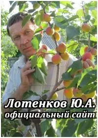 Каталог саджанців з відкритою кореневою системою відкритою