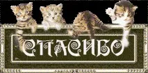 Зображення анімашки Дякую написом