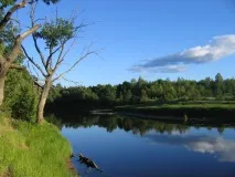 Керженський заповідник в Нижегородській області заповідник