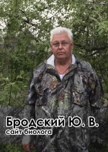 Каталог саджанців з відкритою кореневою системою відкритою