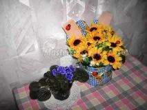 соняшник