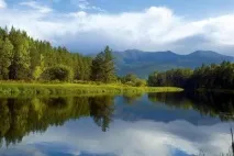 Косметика Natura Siberica - Відгуки про косметику Siberica