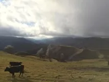 Кубачі село, яке саме за себе кубачі