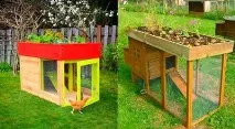 Курник своїми руками на 5 курей курника