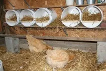 Курник своїми руками на 5 курей своїми