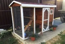 Курник своїми руками на 5 курей своїми