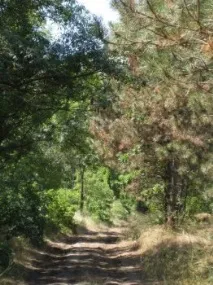 одеської
