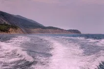 утріша