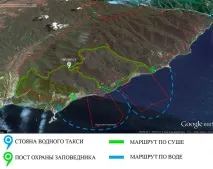 коли