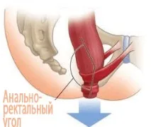 правилно