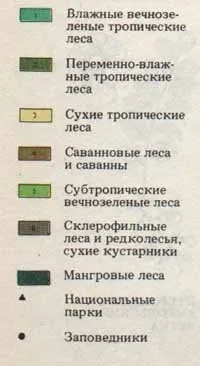 Ліси Африки та Мадагаскару ліси