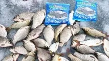 Лов карася взимку відео взимку