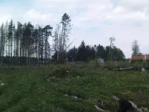 Лісові ділянки поставлятьна облік як раніше враховані об’єкти нерухомості лісові
