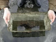 Лов карася взимку відео відео