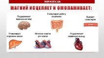 Магній як головний регулятор засвоєння кальцію головний