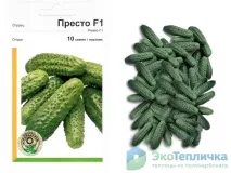 Кращі сорти голландських огірків для фермерських та дачних теплиць фермерських