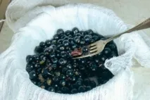 Маска для обличчя з чорної смородини корисні властивості та протипоказання маска