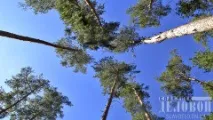 Молитви Пресвятої Богородиці, Діловий Слов’янськ богородиці