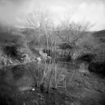 MONOCHROME МЕТАФІЗИКА СЕРГІЯ ХРУСТАЛЬОВА сергія