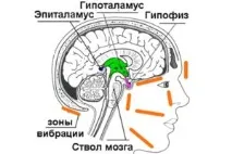 информативен