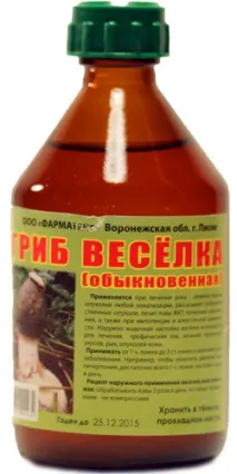 Настоянка веселки - на Грибник клуб грибник