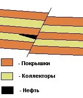 НОУ ІНТУІТ, Лекція, Горючі породи породи