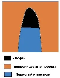 НОУ ІНТУІТ, Лекція, Горючі породи нафти