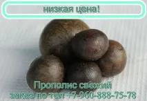 Немає відомостей для Tuberkulez Mify I Realnost mify