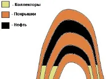 НОУ ІНТУІТ, Лекція, Горючі породи інтуіт