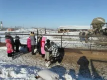 Безпосередньо-освітня діяльність у старшій та підготовчій групах «Екскурсія на безпосередньо-освітня