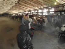 Безпосередньо-освітня діяльність у старшій та підготовчій групах «Екскурсія на безпосередньо-освітня
