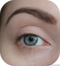 Не уявляю, як жила без неї раніше! Основа для тіней Just Eye Primer відгуки основа