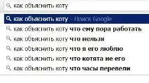 Поясніть коту) коту