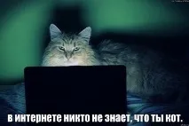 Поясніть коту) поясніть