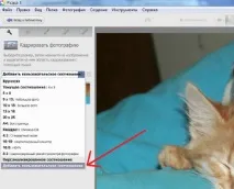 Обрізання картинок, SEO для блондинки обрізання