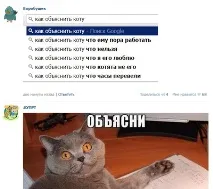 Поясніть коту) коту