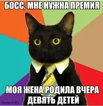 Поясніть коту) поясніть