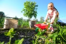 Оформляємо зеленку на дачний будинок у Воронезькій області. дачний
