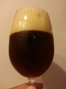 Осінній гарбузовий ель Nogne O Pumpkin Ale - Пиво, вино, інші напої та смачна їжа пиво