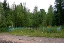 натурі