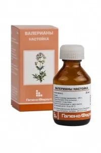 Чи нешкідливо постійно пити валеріану Зелений Світ пити