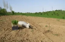 бізнес
