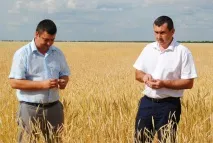 БИТВА ЗА УРОЖАЙ ПОЧАЛАСЯ - Пошук - Статті - Газета «Світанок» Палласівського муніципального району статті