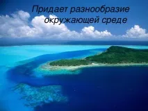 презентации