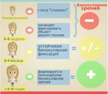 Бінокулярний зір, особливості сприйняття світу, діагностика особливості