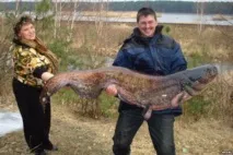 Полювання на сома! відпускати
