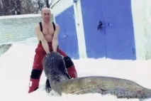 Полювання на сома! сомів