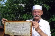 Бджолині хитрощі хитрощі