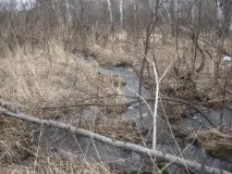 Першотравнева поїздка на Гадельшу - водоспад у всій красі, Біля багаття водоспад
